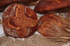 Pane di Altamura