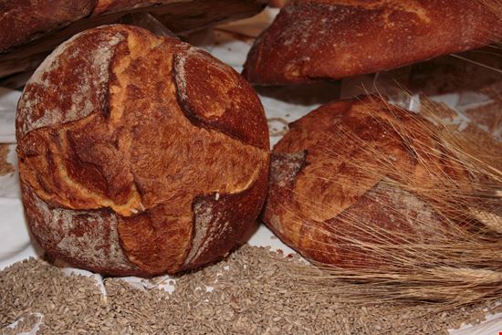 Pane di Altamura Pane di Altamura Giorez - Istockphoto.com 