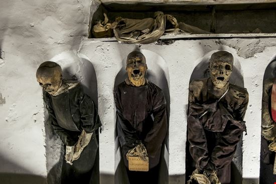 Palermo Catacombe dei Cappuccini Anton Kudelin / Shutterstock.com 