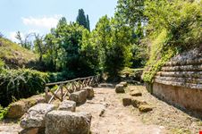 Necropoli etrusca della branditaccia