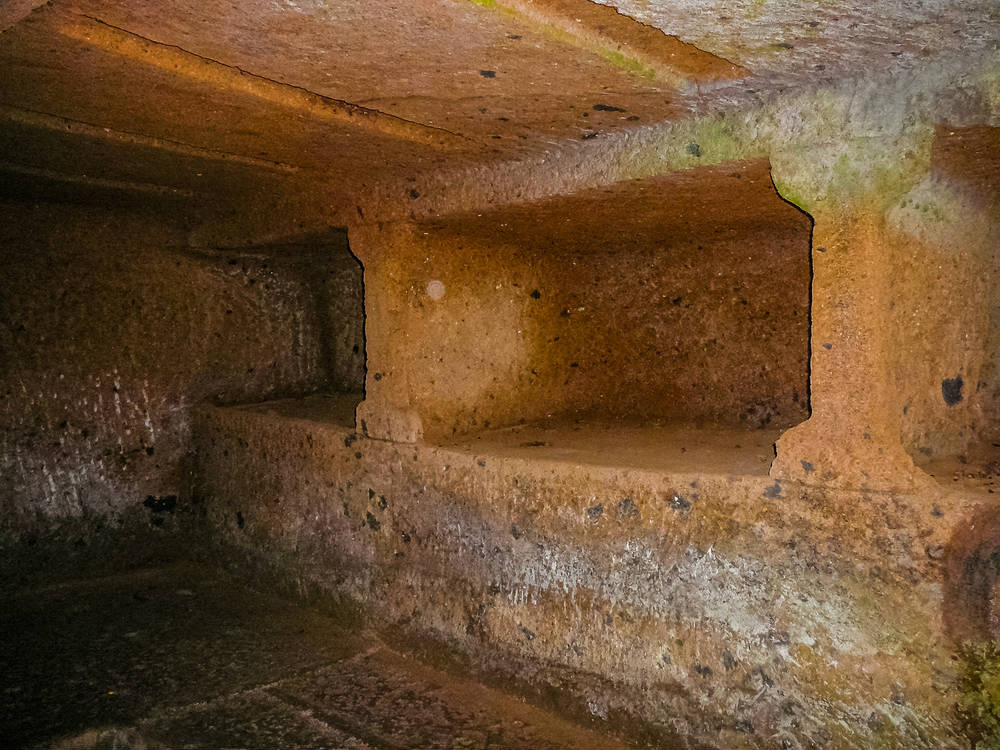 Necropoli etrusca della branditaccia