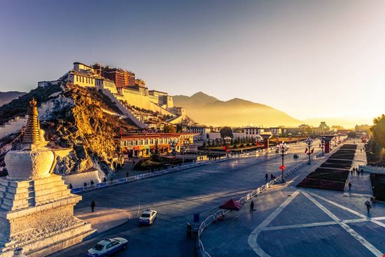 Lhasa Lhasa hfzimages - Shutterstock.com 