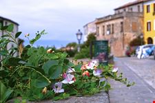 Monselice