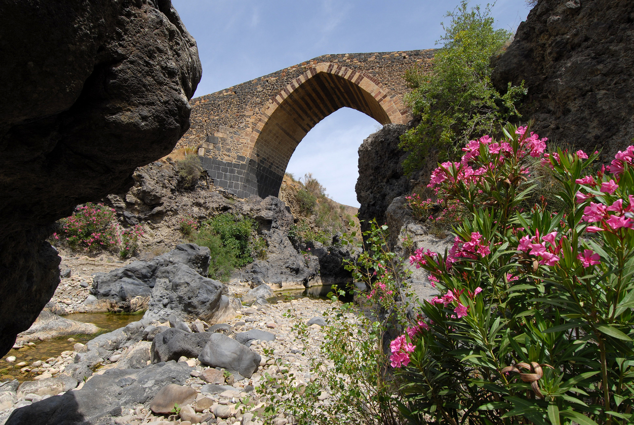 Ponte dei Saraceni