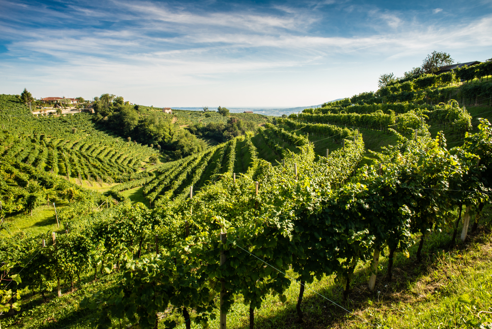 Strada del Prosecco di Valdobbiadene e Conegliano