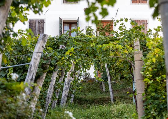 Strada del Prosecco di Valdobbiadene e Conegliano La strada del vino da fare in Veneto wjarek - Shutterstock.com 