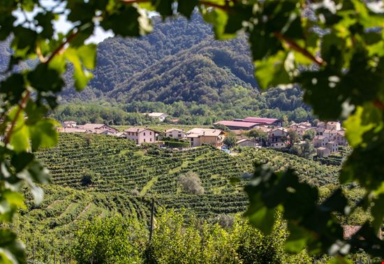 Strada del Prosecco di Valdobbiadene e Conegliano La strada del vino da fare in Veneto wjarek - Shutterstock.com 