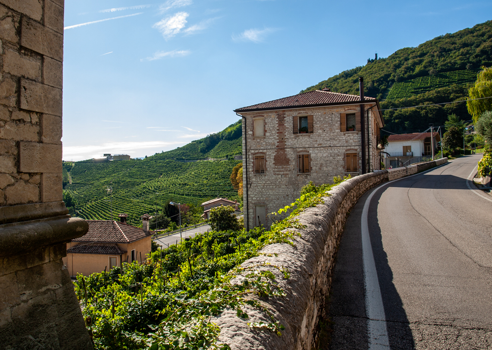 Lontane dalla folla della Laguna, le colline del buon bere sono la Patria del vino più amato dagli italiani