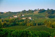 Strada del Prosecco di Valdobbiadene e Conegliano