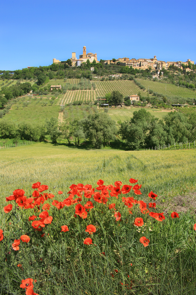 Campofilone