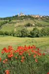 Campofilone