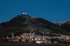 L'albero di Natale