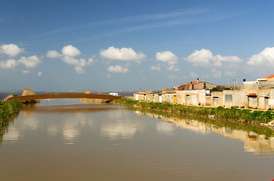Stagno Stagno Alessio Orru - Shutterstock.com  
