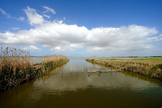 Stagno Stagno Francescomoufotografo - Shutterstock.com 