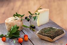 Gastronomia