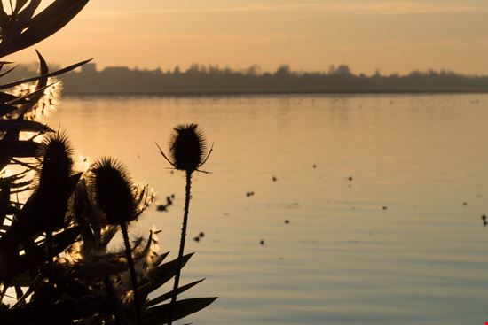 Mantova I laghi stock.adobe.com 