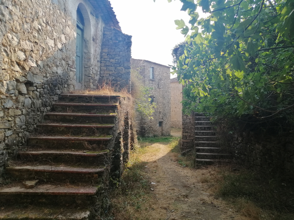 Roscigno