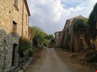 Roscigno