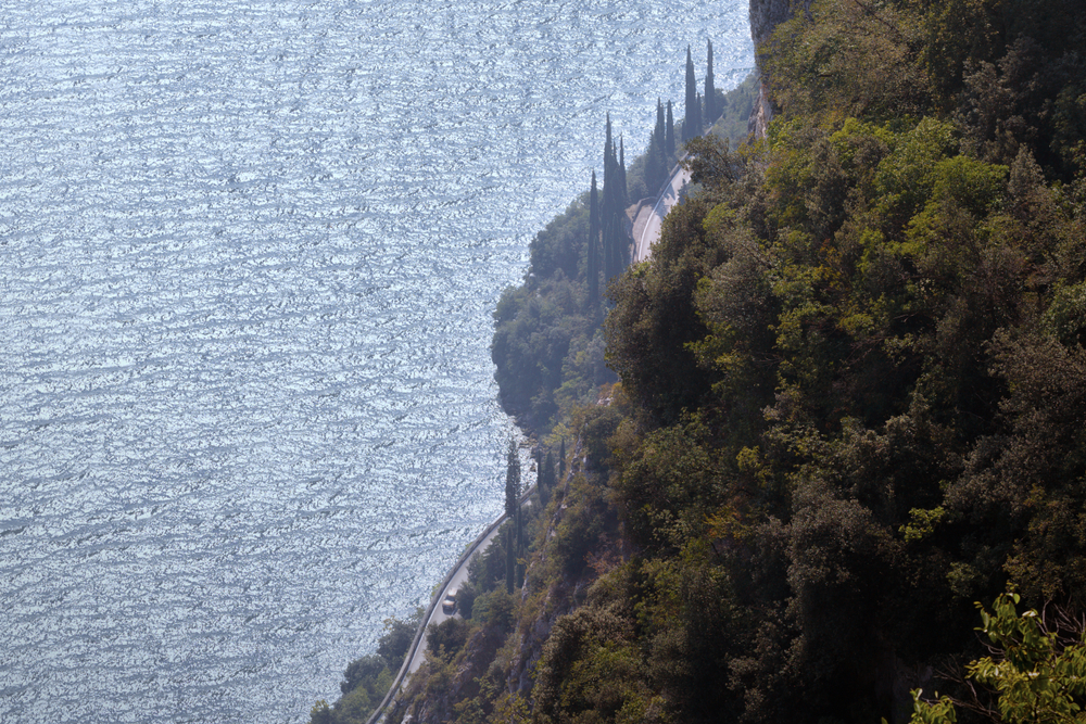 Tremosine