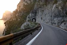 Tremosine