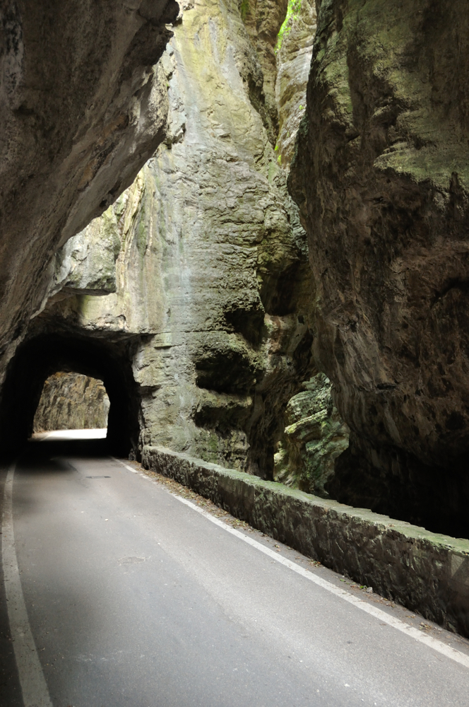 Tremosine