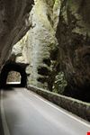 Tremosine