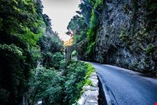 Tremosine