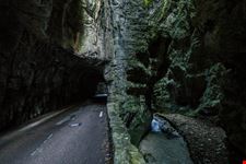 Tremosine
