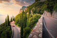 Tremosine