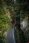 Tremosine