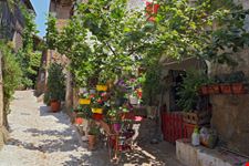 Calcata