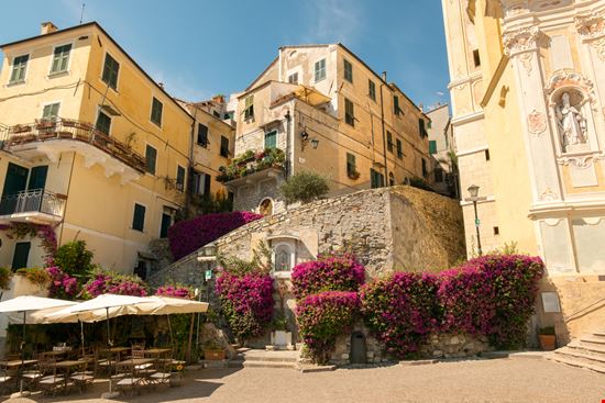 Cervo Cervo WilmaVdZ - Shutterstock.com 