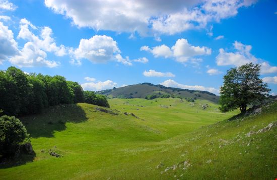 Parco Naturale Regionale Monti Simbruini Parco Naturale Regionale Monti Simbruini 4thebirds - Shutterstock.com 