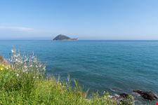 Isola Gallinara