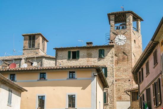 Montone Montone Buffy1982 - Shutterstock.com 