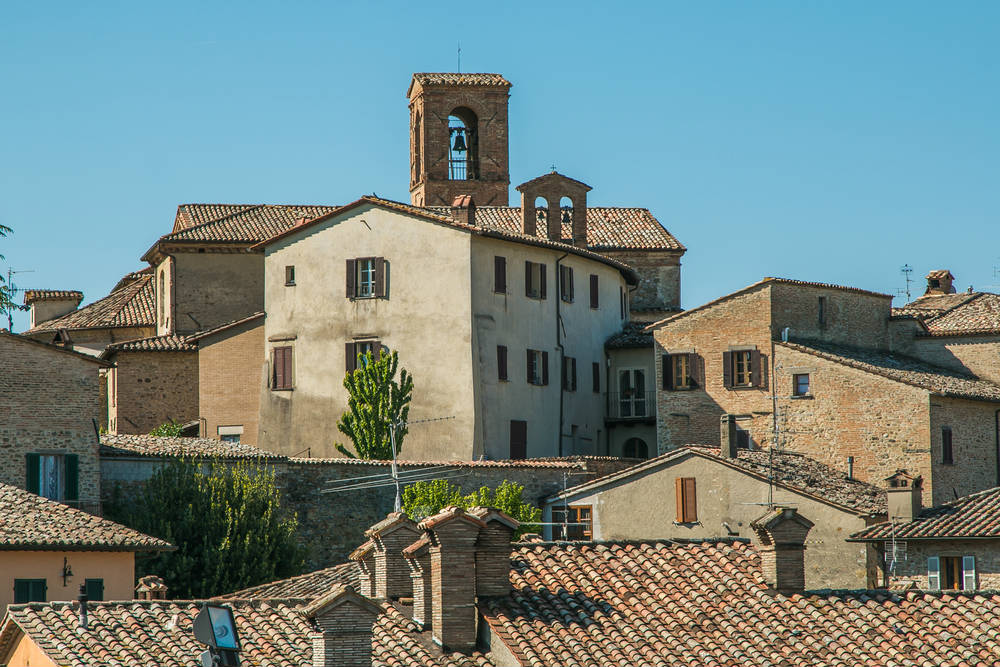 Montone