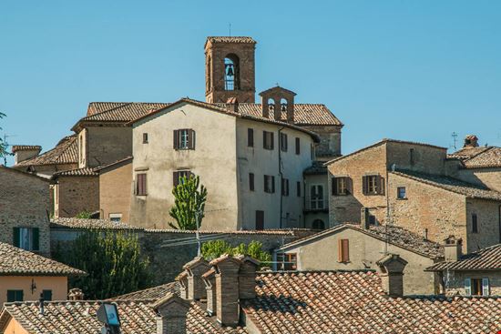Montone Montone Buffy1982 - Shutterstock.com 