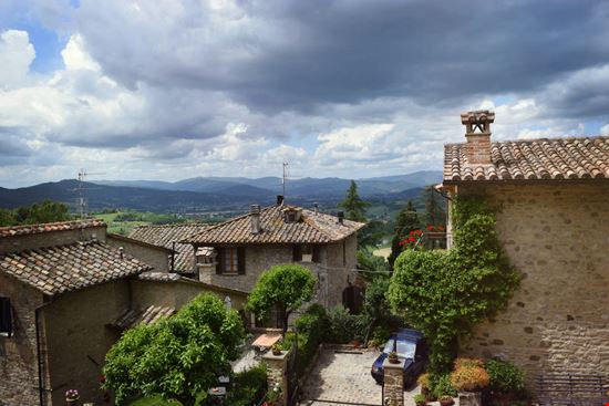 Montone Montone znatalias - Shutterstock.com 