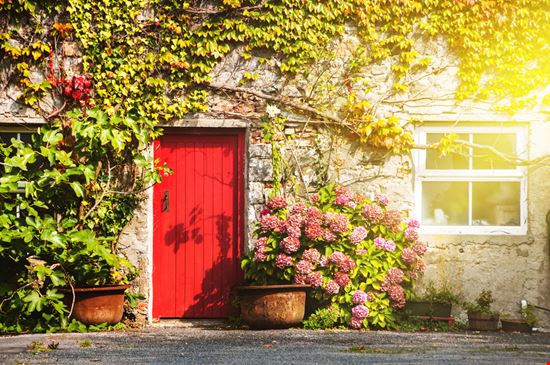 Galway Galway Madrugada Verde - Shutterstock.com 