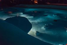 Jameos de Agua