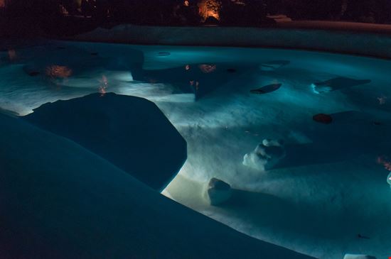 Jameos de Agua Jameos de Agua Gianluca Piccin / Shutterstock.com 