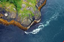 Saltstraumen