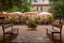 Bolgheri