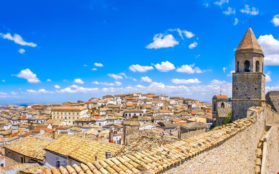 Bovino Bovino Luca Lorenzelli - Shutterstock.com 