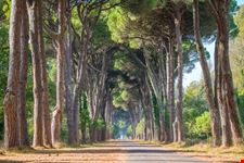 Parco Migliarino San Rossore Massaciuccoli