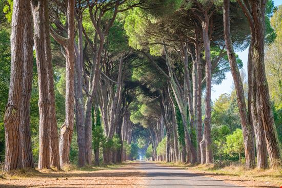 Parco Migliarino San Rossore Massaciuccoli Parco Migliarino San Rossore Massaciuccoli Stefano_Valeri - Shutterstock.com 