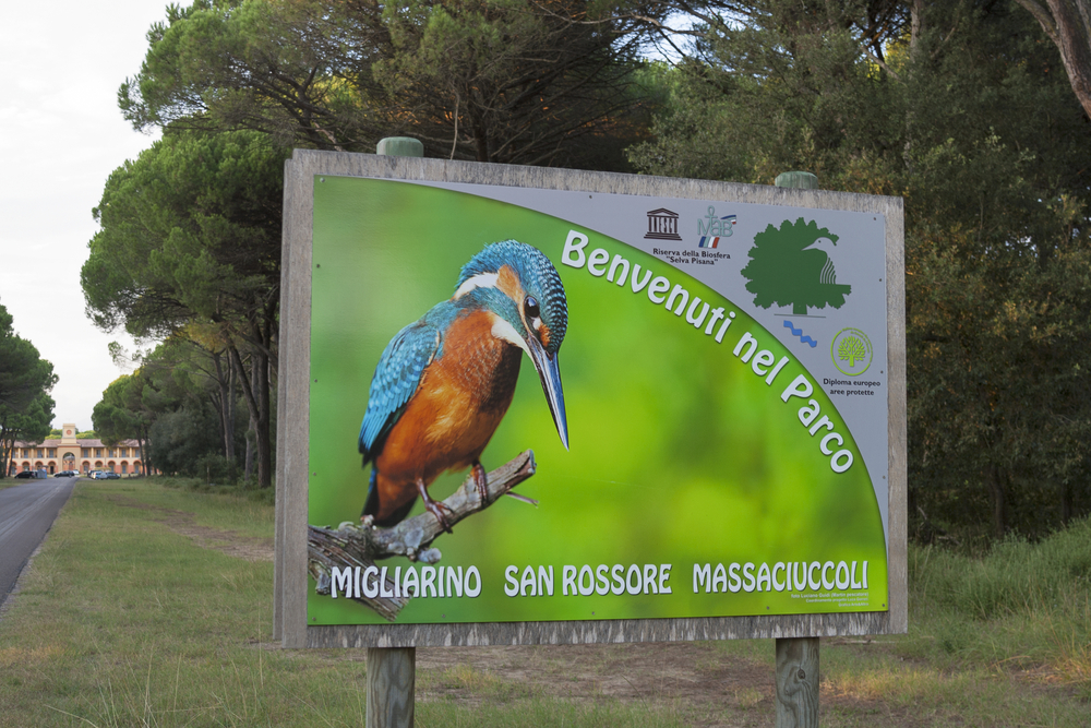 Parco Migliarino San Rossore Massaciuccoli