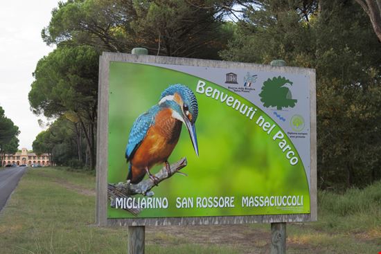 Parco Migliarino San Rossore Massaciuccoli Parco Migliarino San Rossore Massaciuccoli Sergiy Palamarchuk / Shutterstock.com 