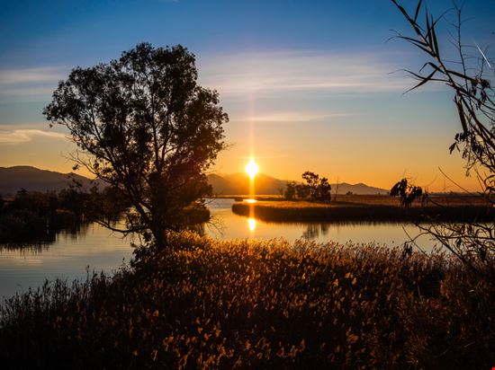 Parco Migliarino San Rossore Massaciuccoli Parco Migliarino San Rossore Massaciuccoli Giovanni Bertagna - Shutterstock.com 
