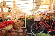 campo_de_fiori